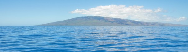 cropped-maui-water-fotolia_62938951_l-copy1.jpg